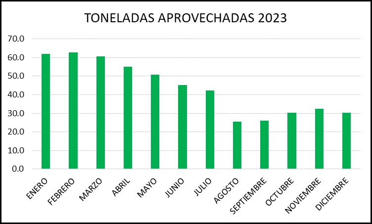 DINC 2020-I.JPG